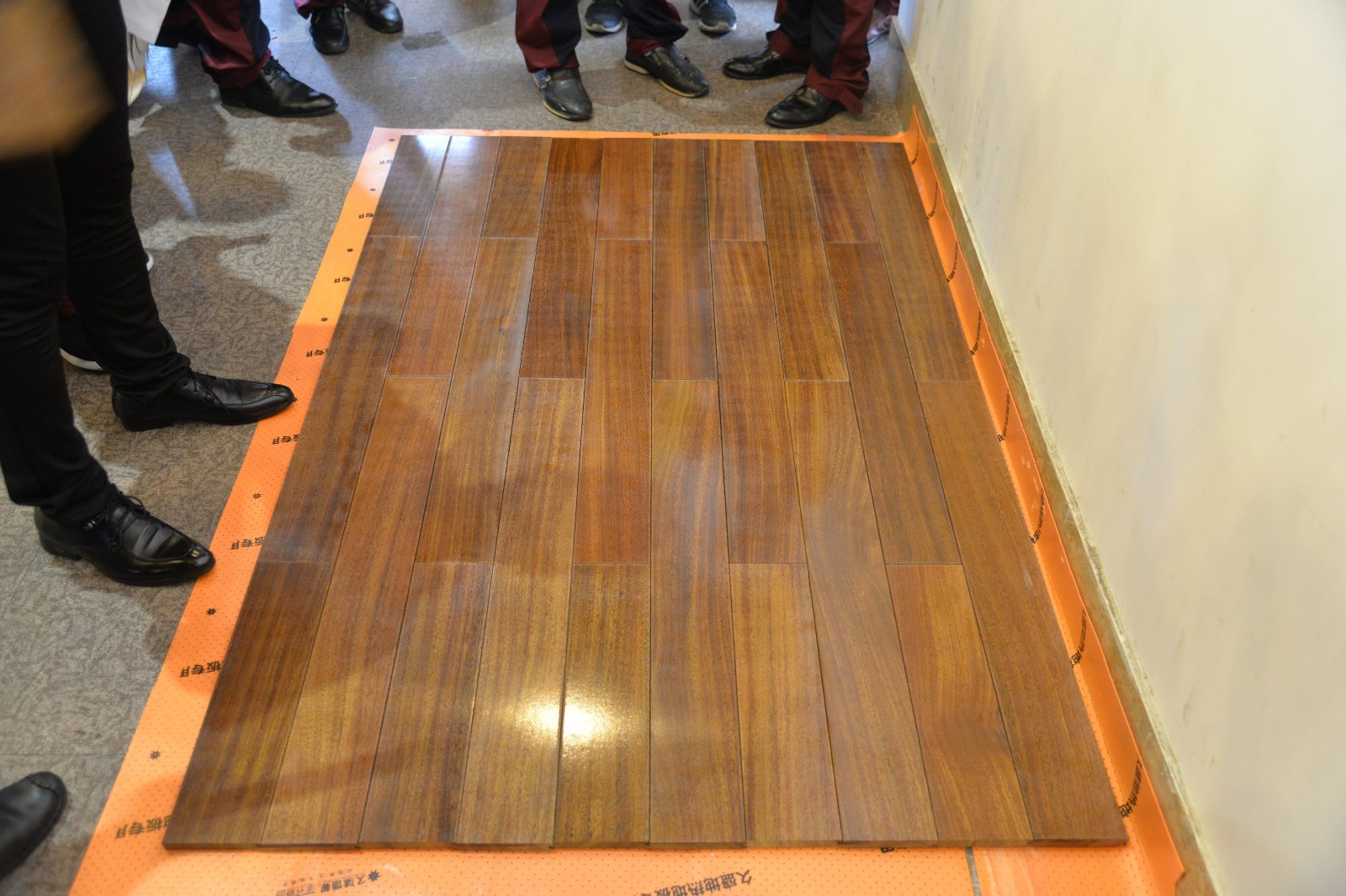 1497833187501169.jpg 1497833187501169.jpg